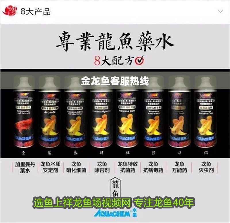 金龍魚客服熱線