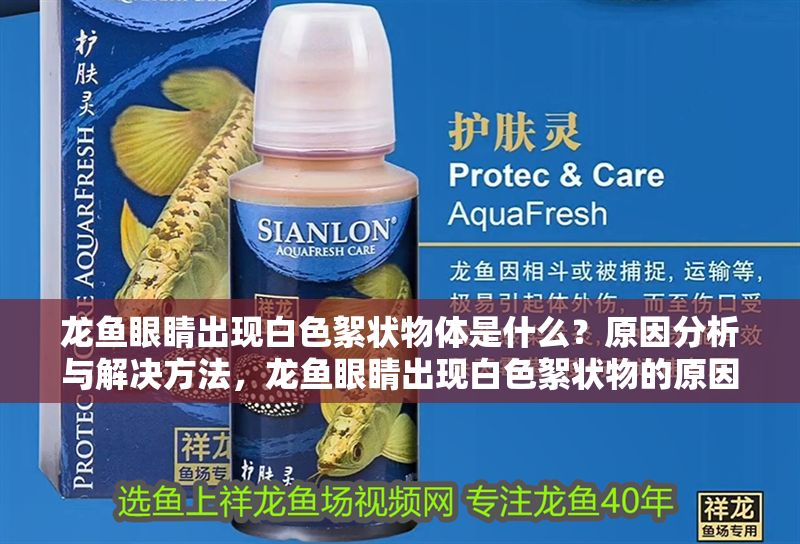 龍魚(yú)眼睛出現(xiàn)白色絮狀物體是什么？原因分析與解決方法，龍魚(yú)眼睛出現(xiàn)白色絮狀物的原因及解決辦法