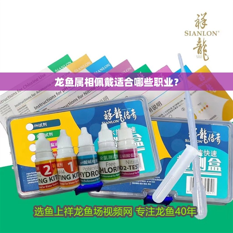 龍魚屬相佩戴適合哪些職業？