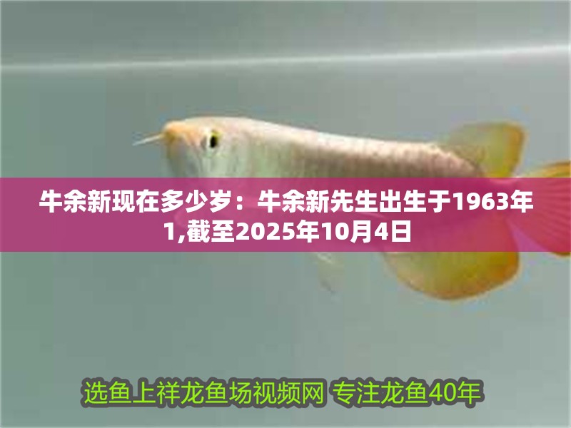 牛余新現在多少歲：牛余新先生出生于1963年1,截至2025年10月4日
