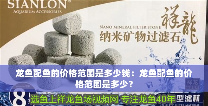 龍魚配魚的價格范圍是多少錢：龍魚配魚的價格范圍是多少？