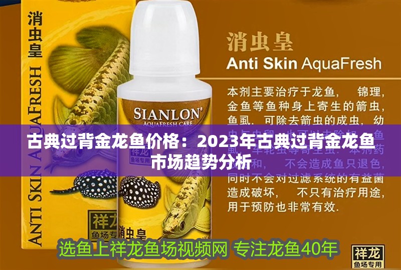 古典過背金龍魚價格：2023年古典過背金龍魚市場趨勢分析