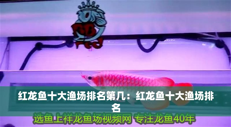 紅龍魚十大漁場排名第幾：紅龍魚十大漁場排名