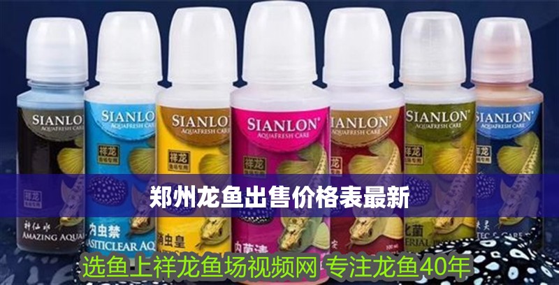 鄭州龍魚出售價格表最新