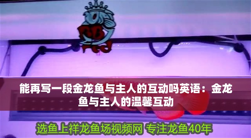 能再寫一段金龍魚與主人的互動嗎英語：金龍魚與主人的溫馨互動