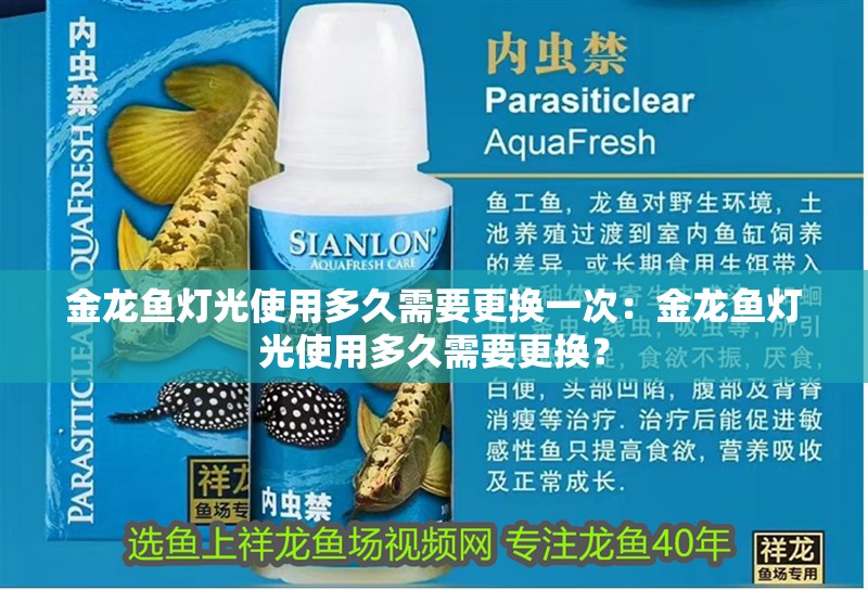 金龍魚燈光使用多久需要更換一次：金龍魚燈光使用多久需要更換？