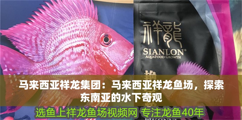 馬來西亞祥龍集團：馬來西亞祥龍魚場，探索東南亞的水下奇觀