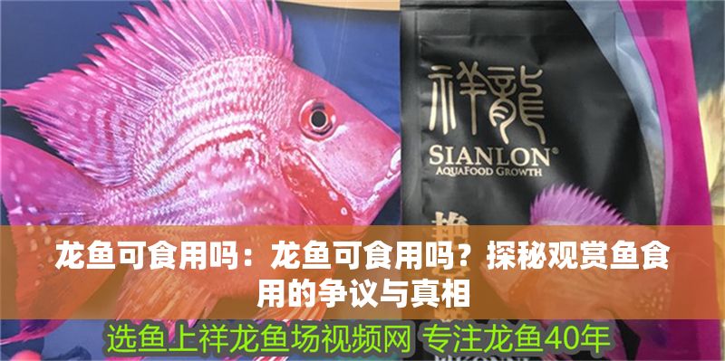 龍魚可食用嗎：龍魚可食用嗎？探秘觀賞魚食用的爭(zhēng)議與真相