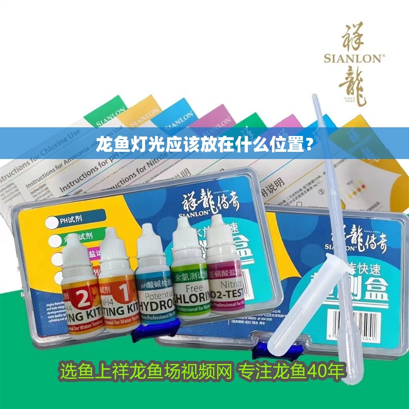 龍魚燈光應該放在什么位置？