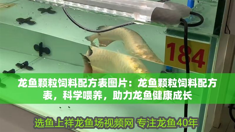 龍魚顆粒飼料配方表圖片：龍魚顆粒飼料配方表，科學(xué)喂養(yǎng)，助力龍魚健康成長