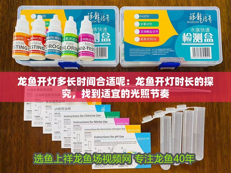 龍魚開燈多長時間合適呢：龍魚開燈時長的探究，找到適宜的光照節奏