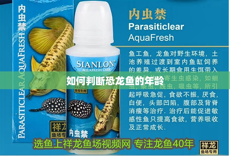 如何判斷恐龍魚的年齡 如何判斷恐龍魚的年齡 龍魚百科