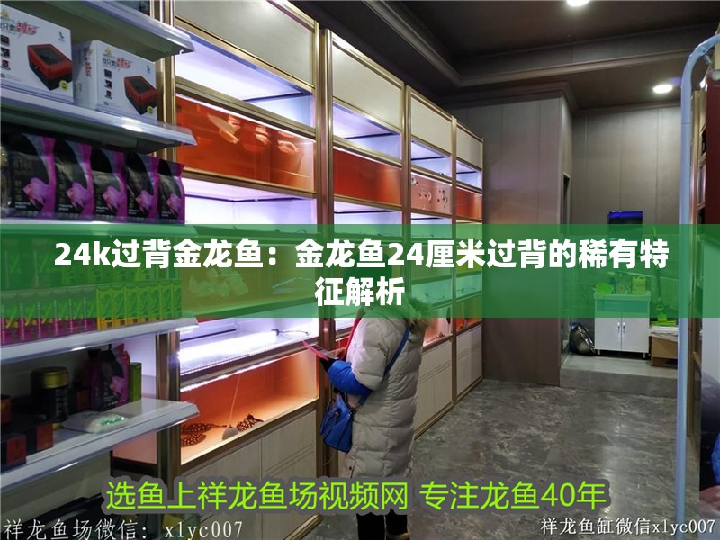 24k過背金龍魚：金龍魚24厘米過背的稀有特征解析