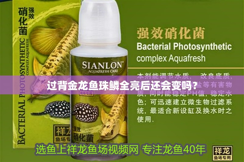 過背金龍魚珠鱗全亮后還會變嗎？ 過背金龍魚珠鱗全亮后還會變嗎？ 龍魚百科