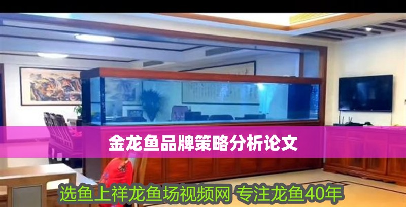 金龍魚品牌策略分析論文