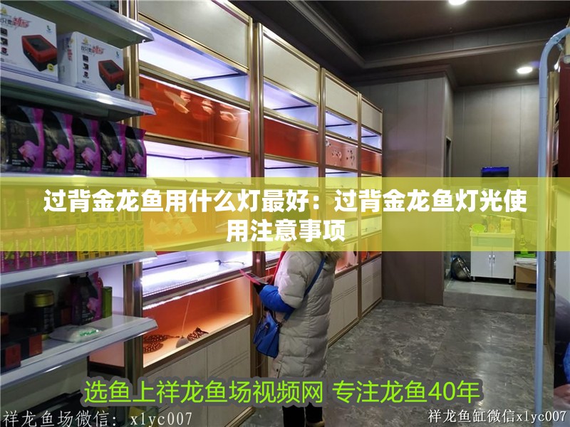 過背金龍魚用什么燈最好：過背金龍魚燈光使用注意事項(xiàng)