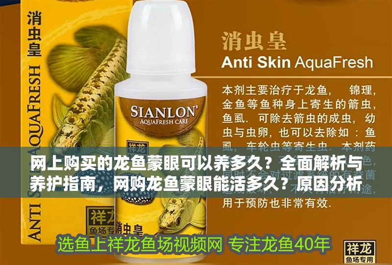 網(wǎng)上購買的龍魚蒙眼可以養(yǎng)多久？全面解析與養(yǎng)護(hù)指南，網(wǎng)購龍魚蒙眼能活多久？原因分析與救治養(yǎng)護(hù)全攻略