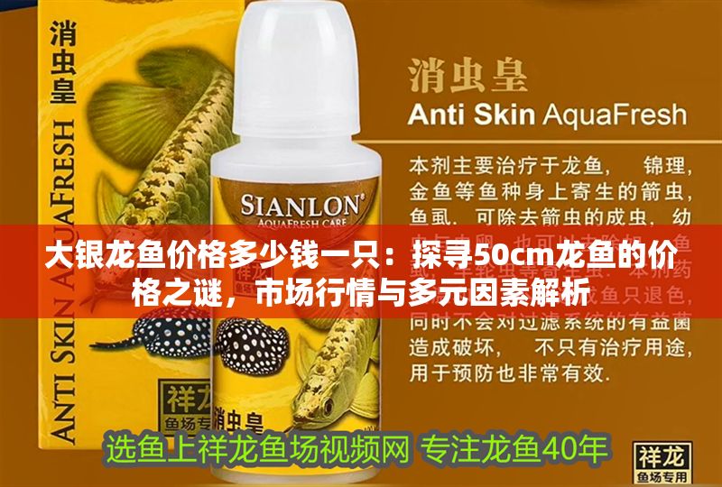 大銀龍魚價格多少錢一只：探尋50cm龍魚的價格之謎，市場行情與多元因素解析
