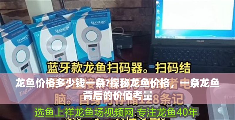 龍魚價格多少錢一條?探秘龍魚價格，一條龍魚背后的價值考量