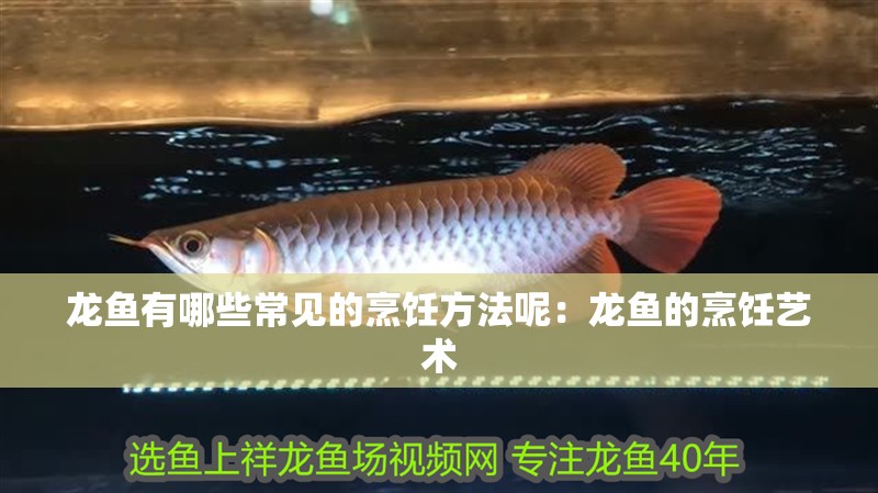 龍魚有哪些常見的烹飪方法呢：龍魚的烹飪藝術