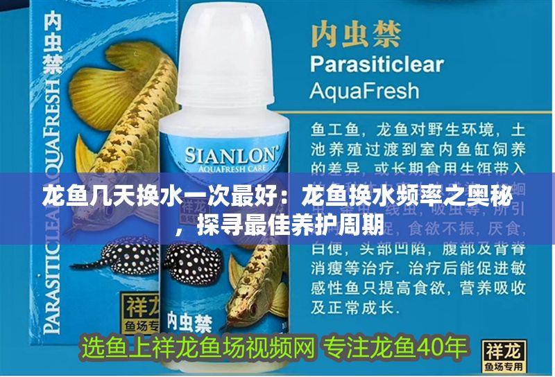 龍魚幾天換水一次最好：龍魚換水頻率之奧秘，探尋最佳養護周期