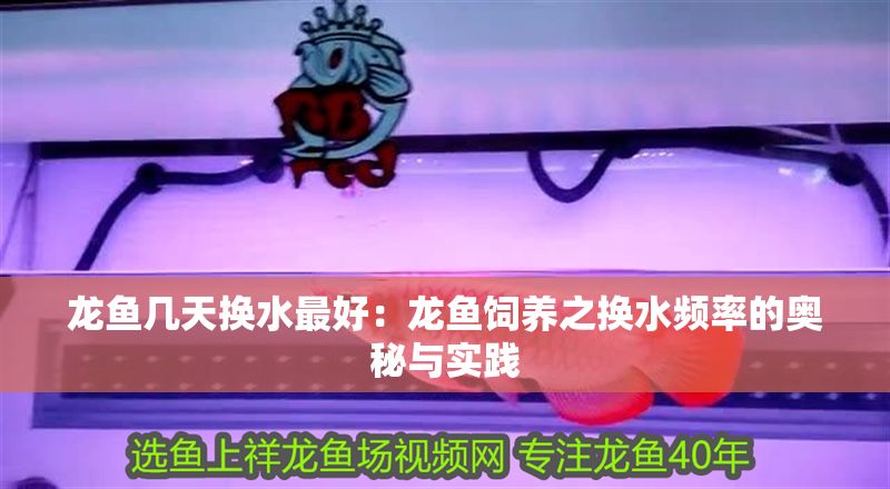 龍魚幾天換水最好：龍魚飼養之換水頻率的奧秘與實踐