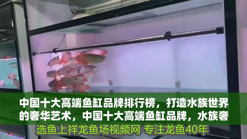 中國十大高端魚缸品牌排行榜，打造水族世界的奢華藝術，中國十大高端魚缸品牌，水族奢華的巔峰之選