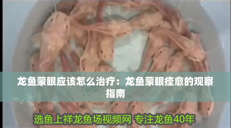 龍魚蒙眼應該怎么治療：龍魚蒙眼痊愈的觀察指南
