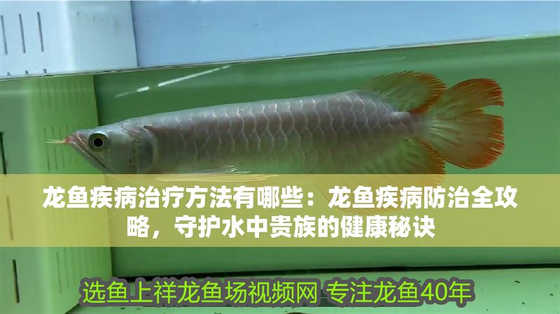 龍魚疾病治療方法有哪些：龍魚疾病防治全攻略，守護水中貴族的健康秘訣