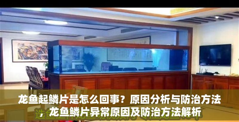 龍魚起鱗片是怎么回事？原因分析與防治方法，龍魚鱗片異常原因及防治方法解析