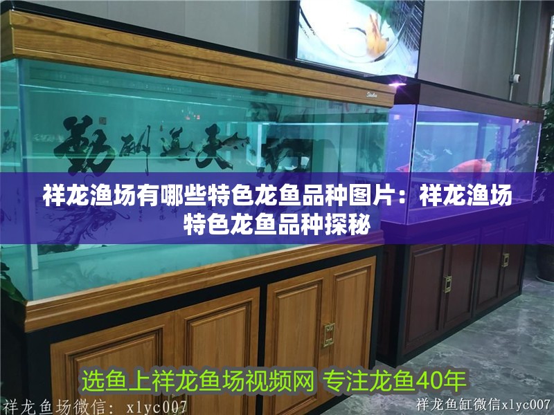 祥龍漁場(chǎng)有哪些特色龍魚(yú)品種圖片：祥龍漁場(chǎng)特色龍魚(yú)品種探秘