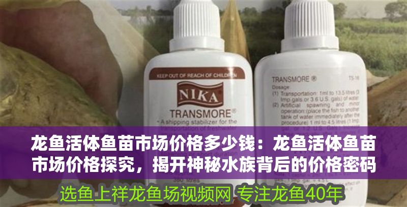 龍魚活體魚苗市場價格多少錢：龍魚活體魚苗市場價格探究，揭開神秘水族背后的價格密碼