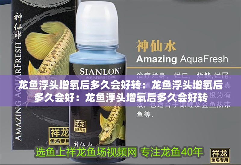 龍魚浮頭增氧后多久會好轉：龍魚浮頭增氧后多久會好：龍魚浮頭增氧后多久會好轉