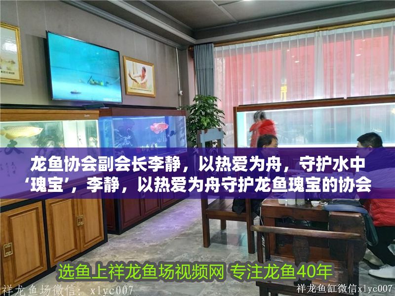 龍魚協會副會長李靜，以熱愛為舟，守護水中‘瑰寶’，李靜，以熱愛為舟守護龍魚瑰寶的協會副會長