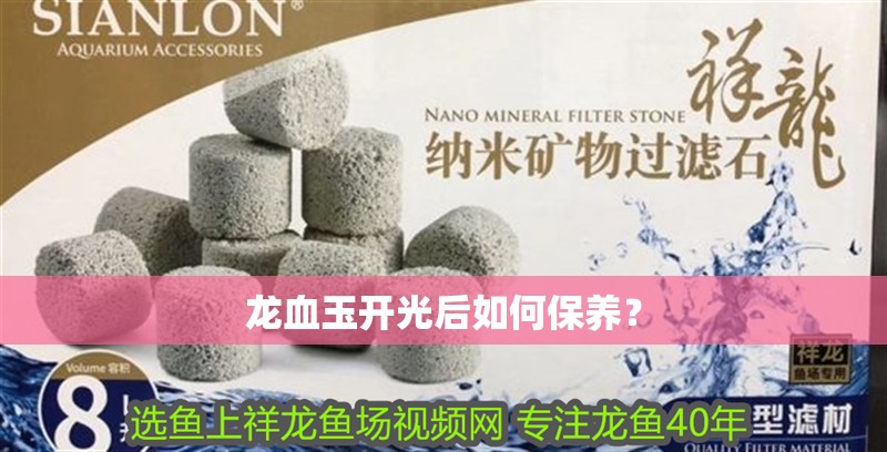 龍血玉開光后如何保養？ 龍血玉開光后如何保養？ 龍魚百科