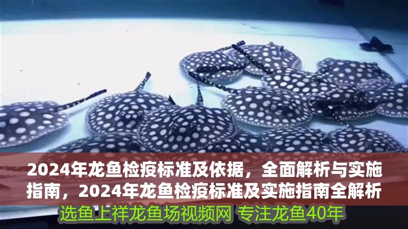 2024年龍魚檢疫標(biāo)準(zhǔn)及依據(jù)，全面解析與實(shí)施指南，2024年龍魚檢疫標(biāo)準(zhǔn)及實(shí)施指南全解析