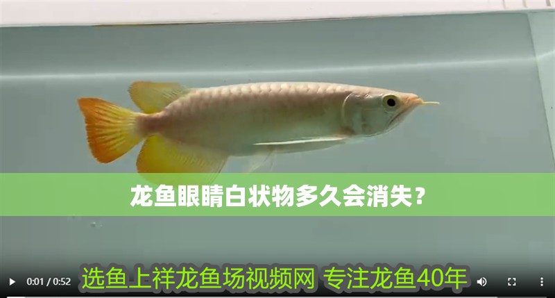 龍魚眼睛白狀物多久會消失？
