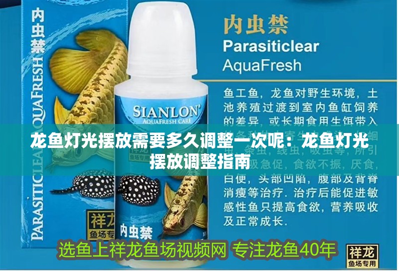 龍魚燈光擺放需要多久調整一次呢：龍魚燈光擺放調整指南