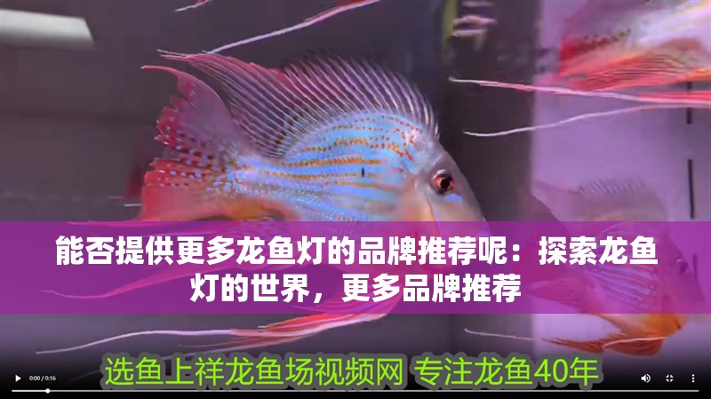能否提供更多龍魚燈的品牌推薦呢：探索龍魚燈的世界，更多品牌推薦