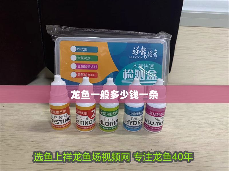 龍魚一般多少錢一條