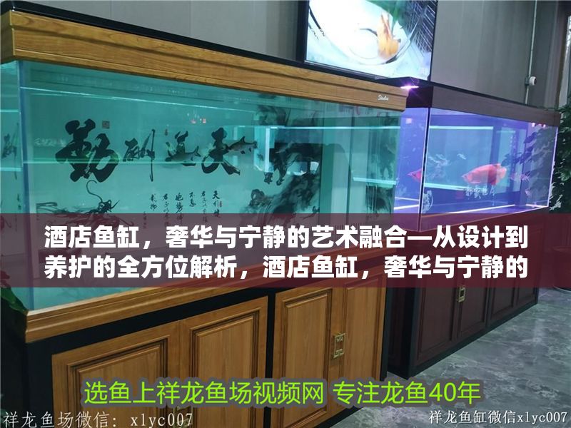 酒店魚缸，奢華與寧靜的藝術(shù)融合—從設(shè)計(jì)到養(yǎng)護(hù)的全方位解析，酒店魚缸，奢華與寧靜的設(shè)計(jì)美學(xué)與養(yǎng)護(hù)全指南