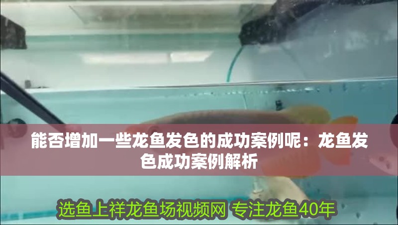 能否增加一些龍魚發色的成功案例呢：龍魚發色成功案例解析