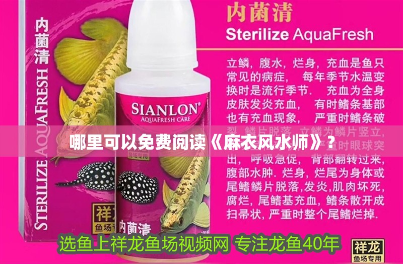 哪里可以免費(fèi)閱讀《麻衣風(fēng)水師》？ 哪里可以免費(fèi)閱讀《麻衣風(fēng)水師》？ 龍魚(yú)百科