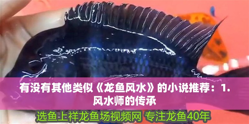 有沒有其他類似《龍魚風水》的小說推薦：1.風水師的傳承