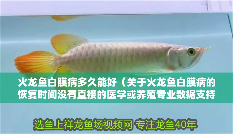 魚缸造景先放沙還是先放水(魚缸造景先鋪沙還是先放石頭) 火龍魚白膜病多久能好(關于火龍魚白膜病的恢復時間沒有直接的醫學或養殖專業數據支持) 龍魚百科 火龍魚白膜病多久能好(關于火龍魚白膜病的恢復時間沒有直接的醫學或養殖專業數據支持) 火龍魚白膜病多久能好(關于火龍魚白膜病的恢復時間沒有直接的醫學或養殖專業數據支持) 龍魚百科