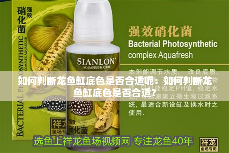 如何判斷龍魚缸底色是否合適呢：如何判斷龍魚缸底色是否合適？