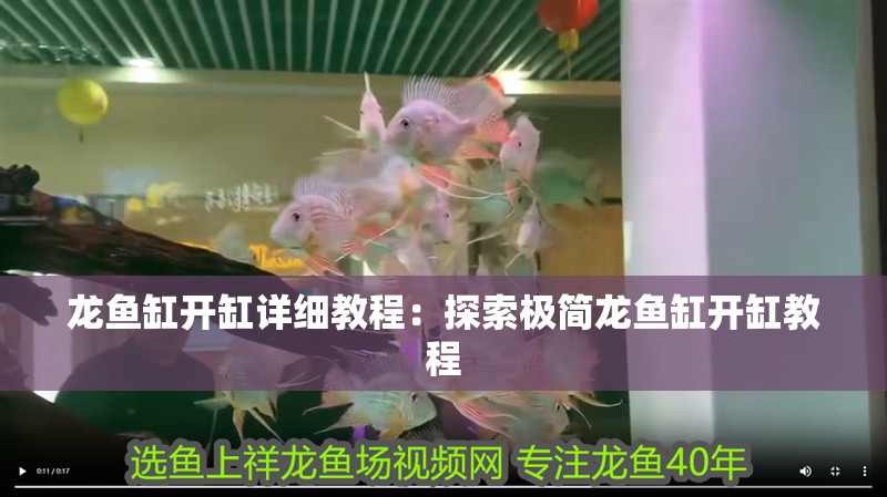 龍魚缸開缸詳細教程：探索極簡龍魚缸開缸教程