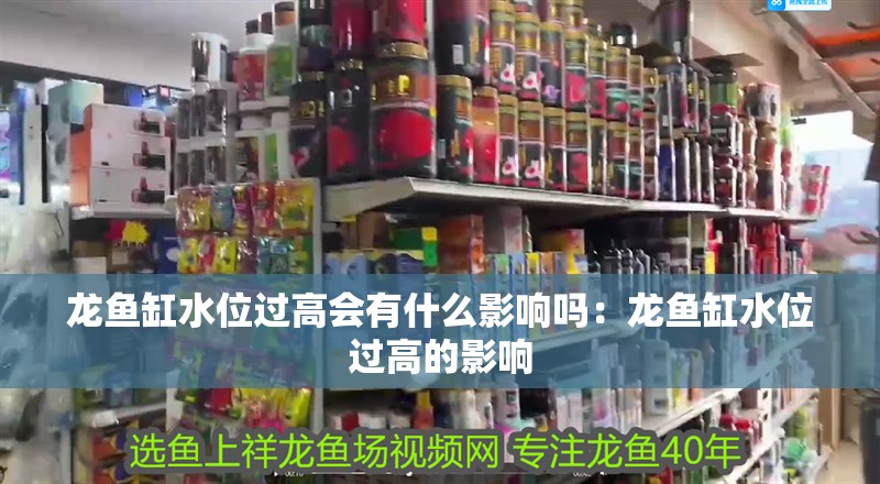 龍魚缸水位過高會有什么影響嗎：龍魚缸水位過高的影響
