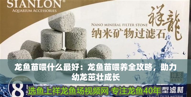 龍魚苗喂什么最好：龍魚苗喂養全攻略，助力幼龍茁壯成長