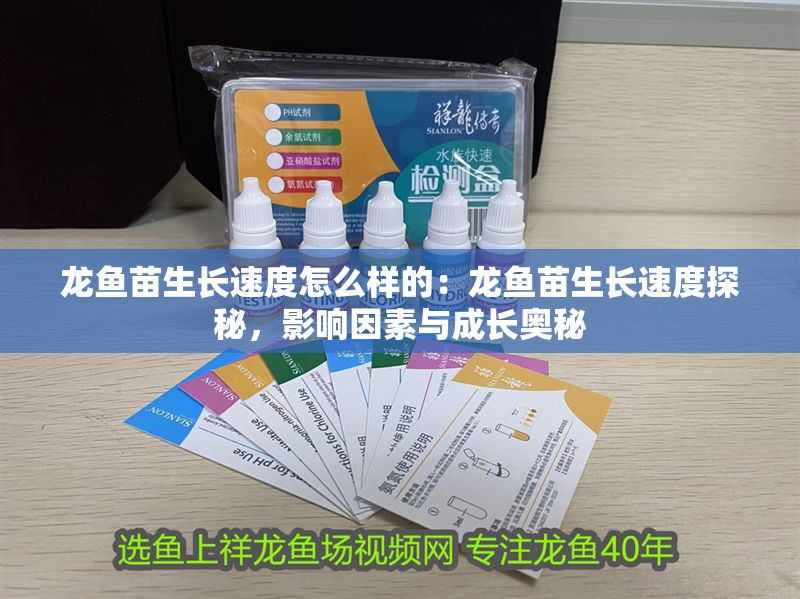 龍魚苗生長速度怎么樣的：龍魚苗生長速度探秘，影響因素與成長奧秘